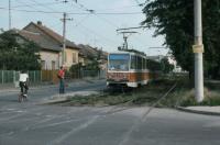 Imagine atasata: Timisoara_19910716_014.jpg
